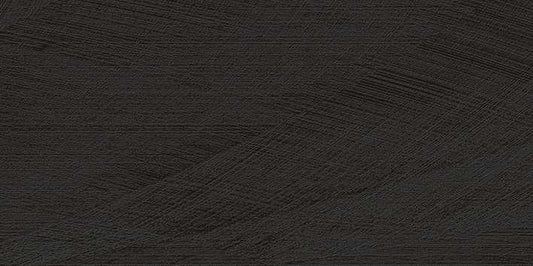 AVENUE NEGRO (12"X24")